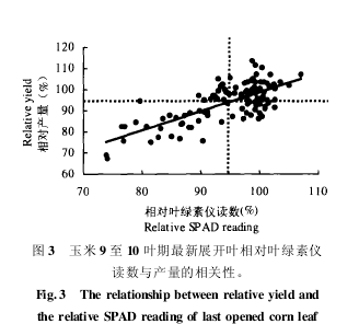 玉米9至10叶期最新展开叶相对叶绿素仪