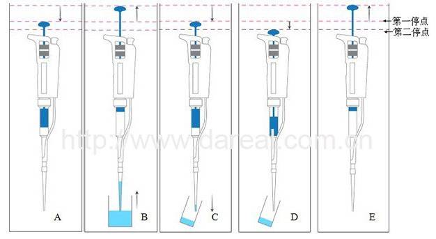 移液器的正确使用方法